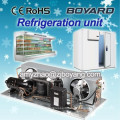 condensing unit refrigeration freezer with R404A horizontal refrigeration compressor for Ice Cream Fridge